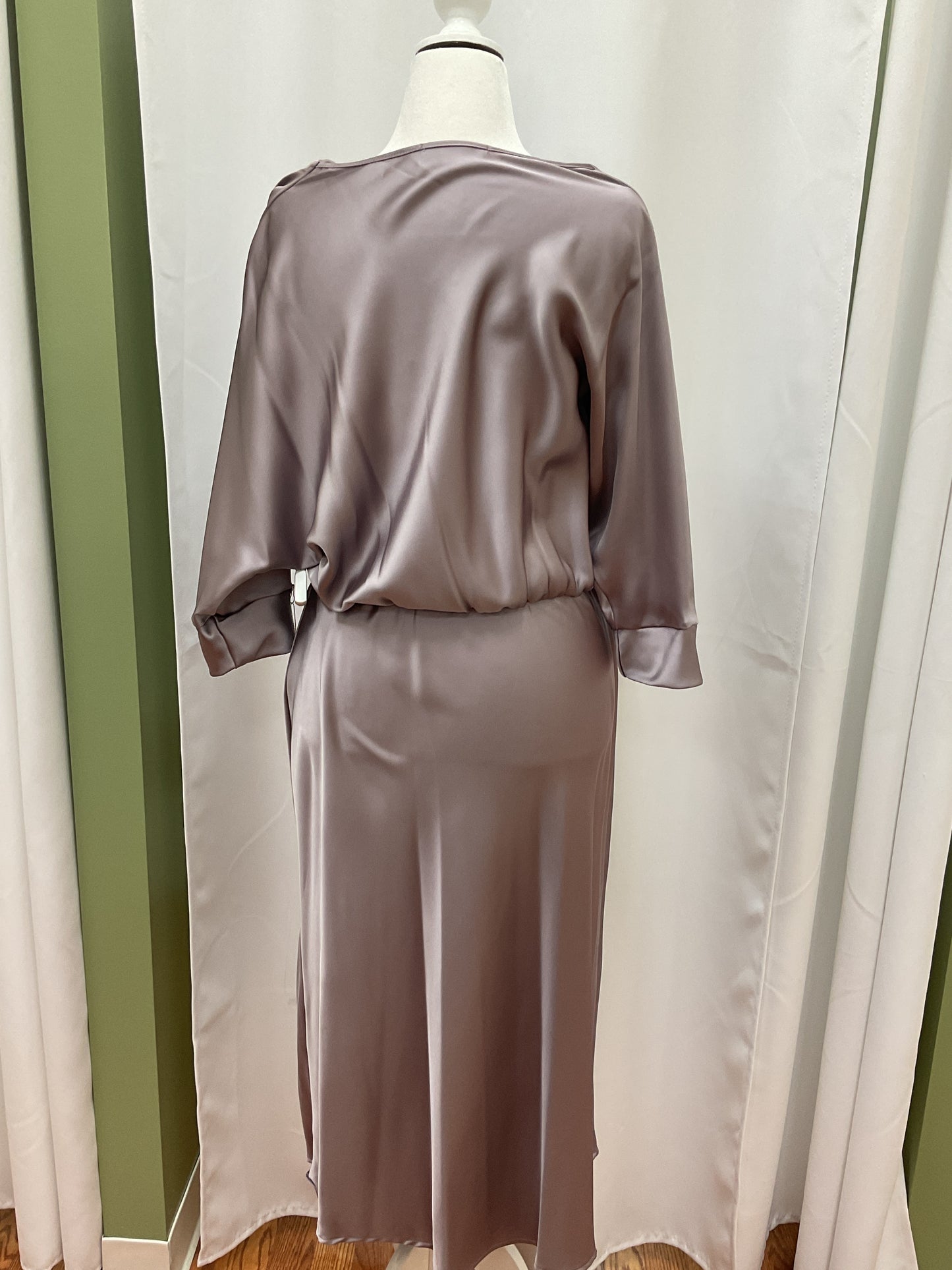 Sliver Elegant Satin Dress