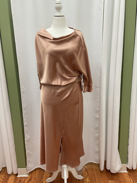 Light Bronze Slick Elegant Dress