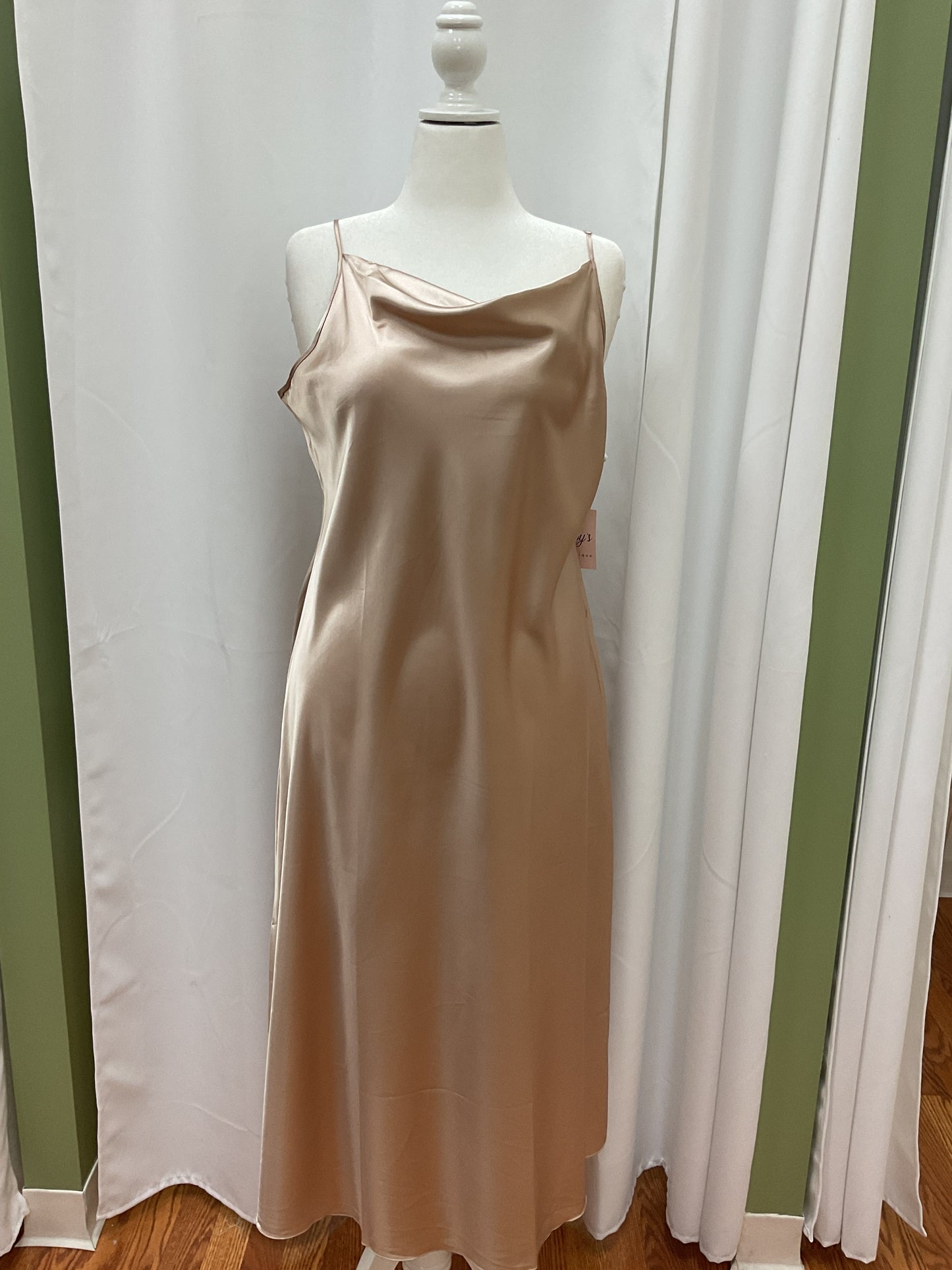 Champagne Plus Silk Dress