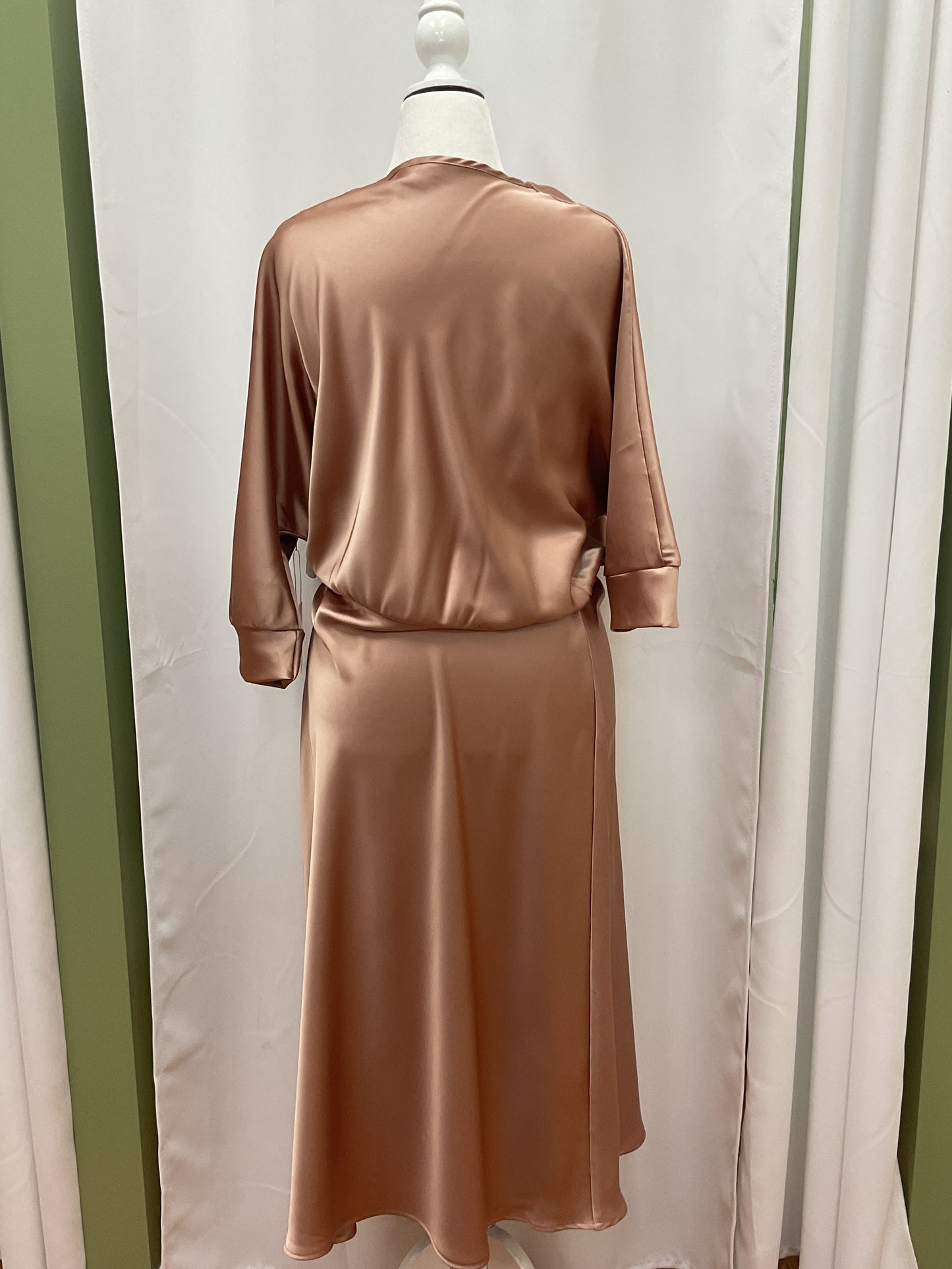 Light Bronze Slick Elegant Dress