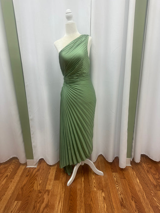 sage pleaded dress